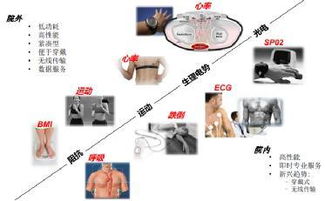 扼制權(quán)健亂象 依靠創(chuàng)新醫(yī)療產(chǎn)品填補市場需求空白